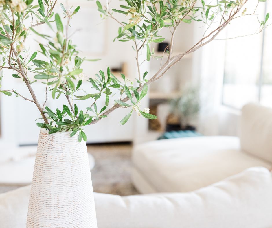 Medicare Part D Drug Plan